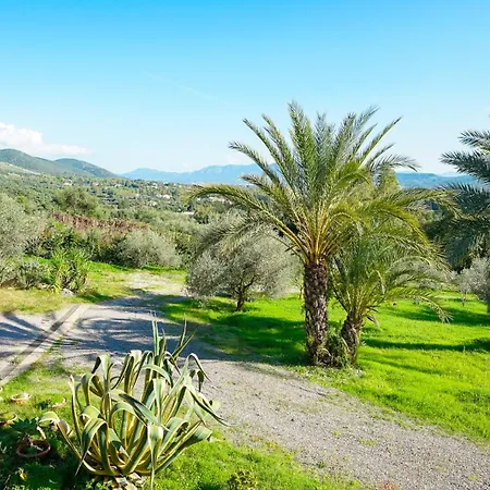 Gambula - Relax And Pool *