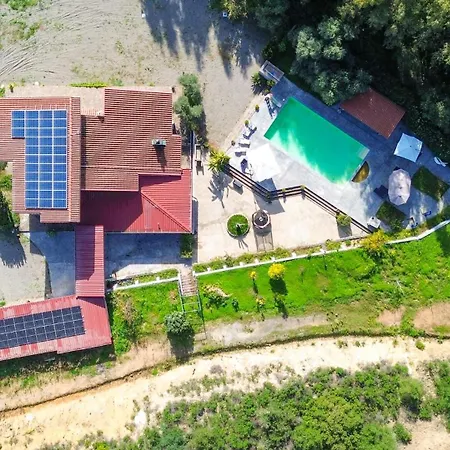 Gambula - Relax And Pool