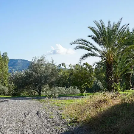 Gambula - Relax And Pool Perdaxius