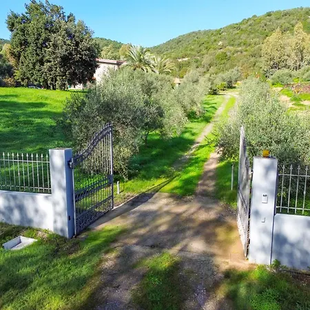 Gambula - Relax And Pool Perdaxius