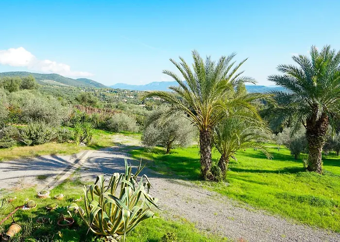 Gambula - Relax And Pool *