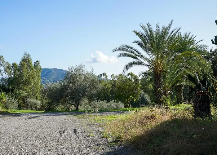 Gambula - Relax And Pool Perdaxius